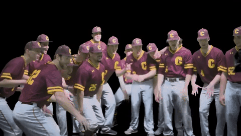 baseball GIF by CUCougars