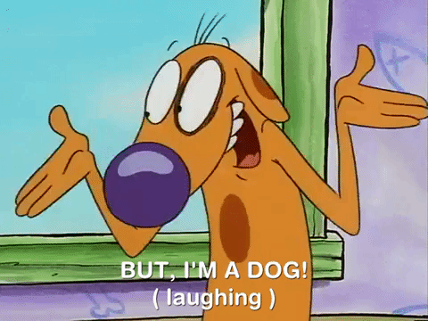 nicksplat GIF
