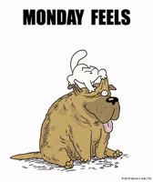 Monday Feels GIF by Simon's Cat