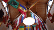 websteru university global flags center GIF