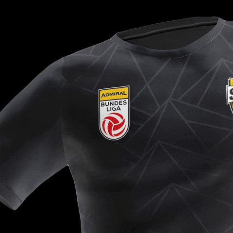 Bundesliga Scra GIF by ADMIRAL