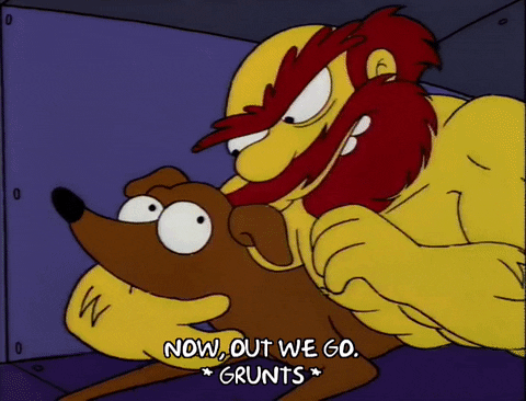 season 5 dog GIF