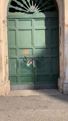 xcbcvccxscxcv giphyupload GIF