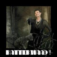 Cat Purr GIF by NACHTSCHIMMEN Music-Theatre-Language NIGHTSHADES