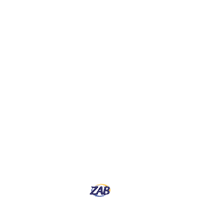 Limpeza Faxina Sticker by ZAB Oficial