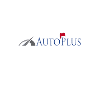 Hyundai Citroen Sticker by Autoplus Olbia