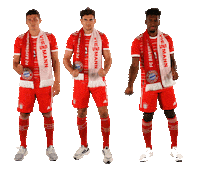 Happy Fc Bayern Sticker by Viessmann Sport