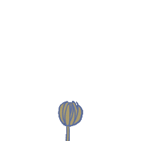 sprigwizard flower spring daisy grow Sticker