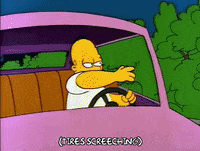 homer simpson episode 20 GIF