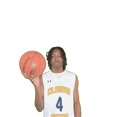 Mens Basketball Sticker by Clarke University