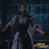 Excited Sound Of Music GIF by Rodgers & Hammerstein