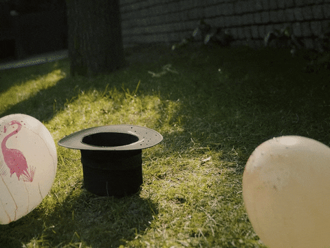 hokusfilm giphyupload balloon magician hokus GIF