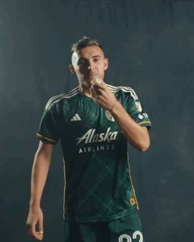 Major League Soccer Sport GIF by Timbers