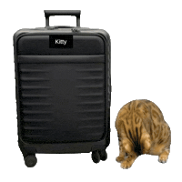 Bengal Cat Sticker by Kitty Fuchs