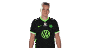 E Sports Sport Sticker by VfL Wolfsburg