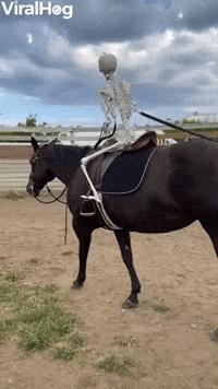 Using a Fake Skeleton to Train a Horse