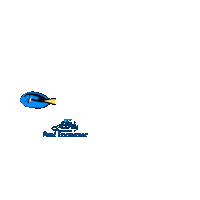 Reef_Experience ocean dive diving gbr Sticker