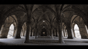 Star Wars Scotland GIF by University of Glasgow
