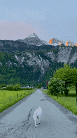 ehdgus1211 giphyupload GIF
