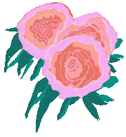 Flowers Peony Sticker by printplaylearn