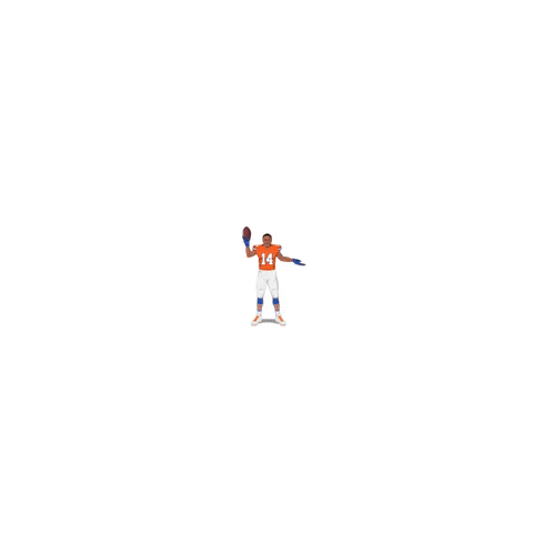 Denver Broncos Football GIF by Panini America