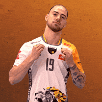 Proud Logo GIF by trefl_gdansk