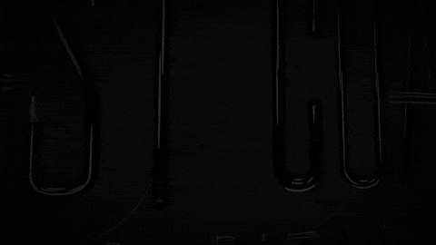 EastCoastCapital giphyupload GIF
