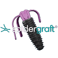 Spider Implantologie Sticker by Biotech Dental