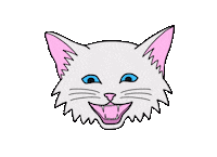 Mad Cat Sticker by Jasi