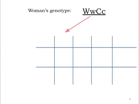 kerryanderson giphyupload genetics inheritance punnett square GIF
