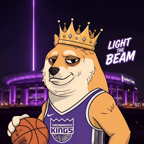 Shiba Inu Basketball GIF by Doge Pound