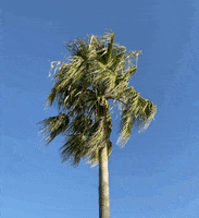 urlaubsdeals24  GIF