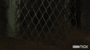 Wonder Woman Dc GIF by HBO Max