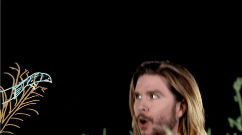 Kyle Hill Bird GIF by Because Science