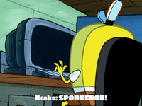 season 6 GIF by SpongeBob SquarePants