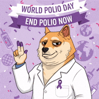 Shiba Inu Dog GIF by Doge Pound