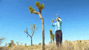 Yoga Cactus GIF by Bay Ledges