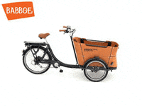 babboe_cargobike curve transporter cargobike bakfiets GIF
