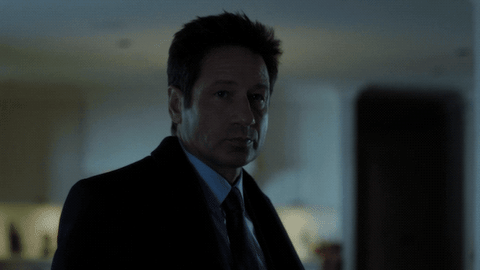 scully mulder GIF by The X-Files