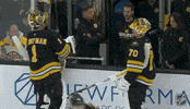 Happy National Hockey League GIF by NHL