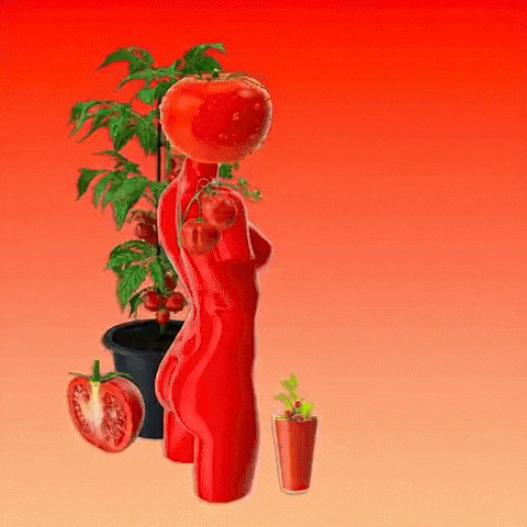 Salad Dressing Cooking GIF by The LSD Hotel