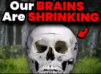 Our Brains Are Shrinking GIF