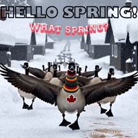 Made In Canada Trending GIF by TresorsDuMonde.ca