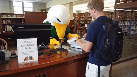 Books Library GIF by Endicott College