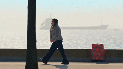 Ela Leyla GIF by Ay Yapım