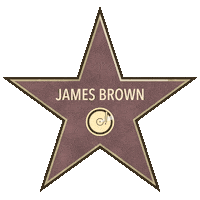 James Brown Star Sticker
