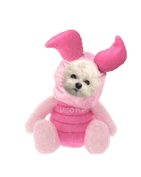 dog pig Sticker by MISO PUP