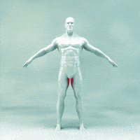 art 3d GIF by MIDgraph