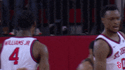 St Johns Sjubb GIF by St. John's Red Storm