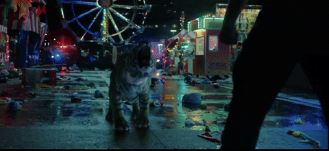 d4441 giphyupload GIF